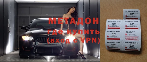 прущие грибы Кулебаки