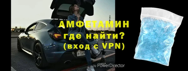 прущие грибы Кулебаки